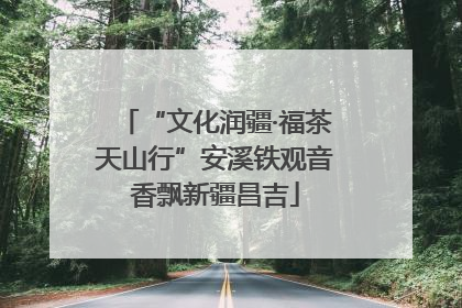 “文化润疆·福茶天山行”安溪铁观音香飘新疆昌吉
